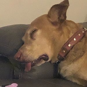 Meet your Posher, Kareem